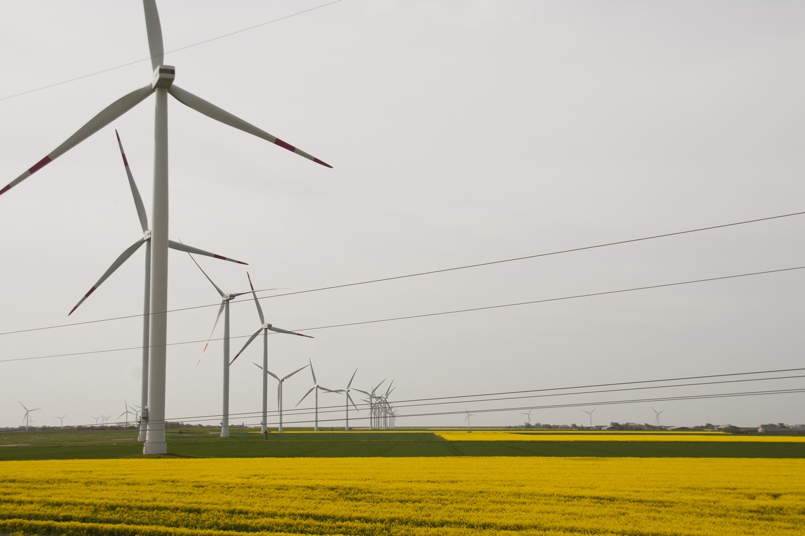 Read more about the article Turbo für Erneuerbare – EU-Parlament stimmt über schnellere Genehmigungen für Wind- und Sonnenstrom ab